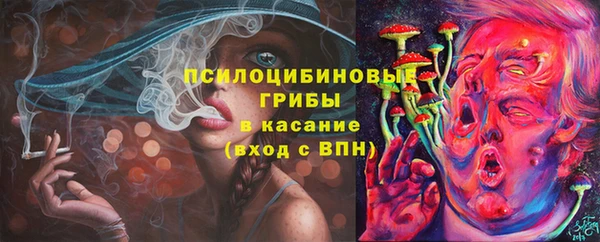 молекула духа Навашино