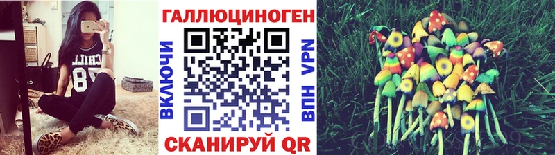 Псилоцибиновые грибы прущие грибы  mega ссылка  Бирск 