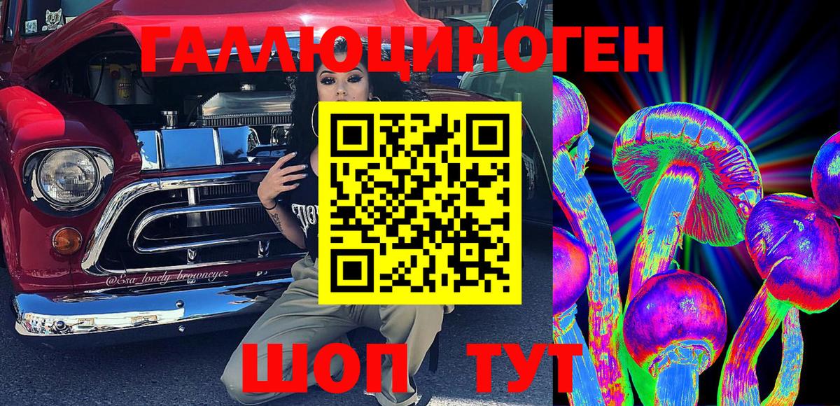 Галлюциногенные грибы Psilocybine cubensis Бирск