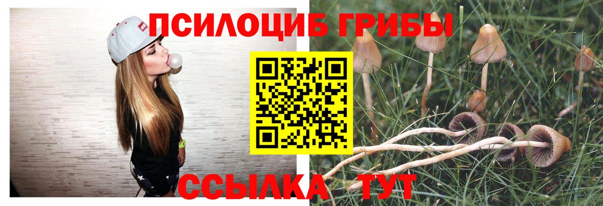 Галлюциногенные грибы мухоморы  Бирск  наркота  Галлюциногенные грибы ЛСД 